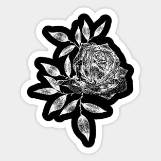 White Rose Sticker